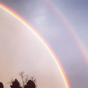 Meet your Posher, Trisha